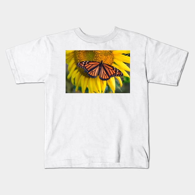 Sunflower and butterfly, Hebron MD USA Kids T-Shirt by searchlight